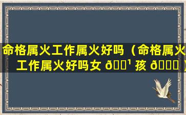 命格属火工作属火好吗（命格属火工作属火好吗女 🌹 孩 🐘 ）